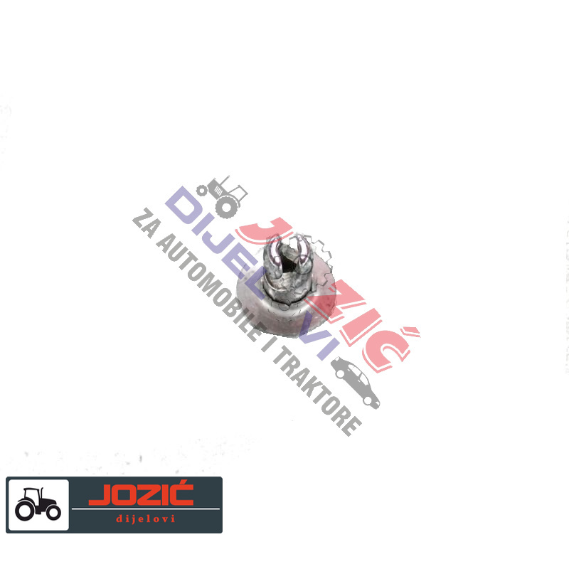 Daisy on the Ohoopee