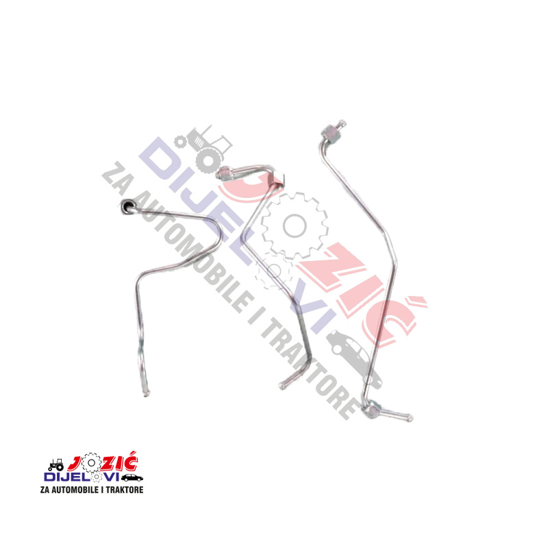 Daisy on the Ohoopee