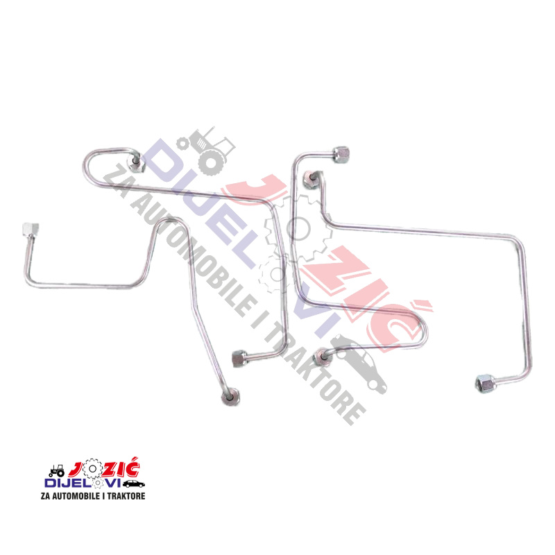 Daisy on the Ohoopee