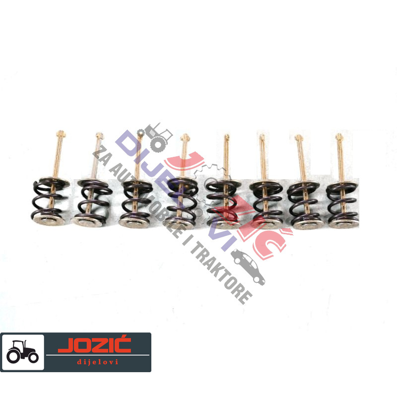 Daisy on the Ohoopee