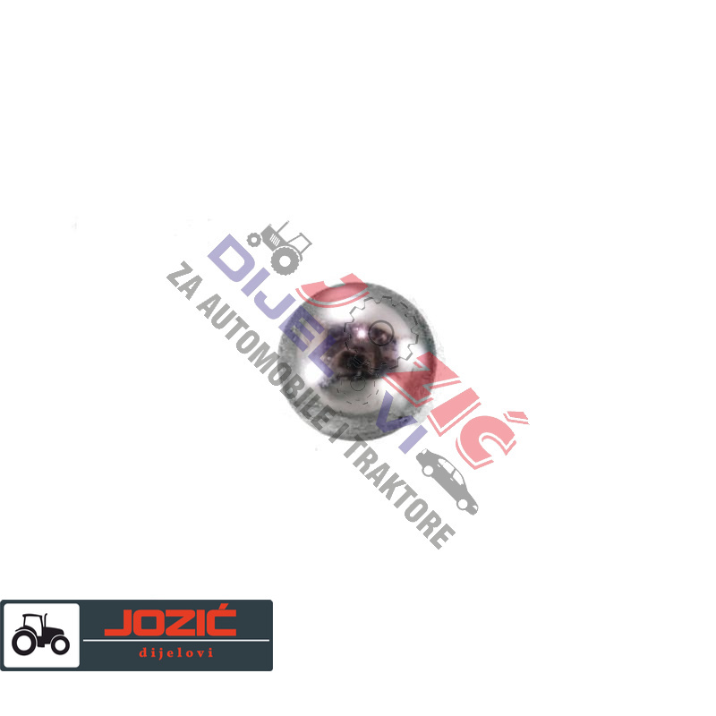 Daisy on the Ohoopee