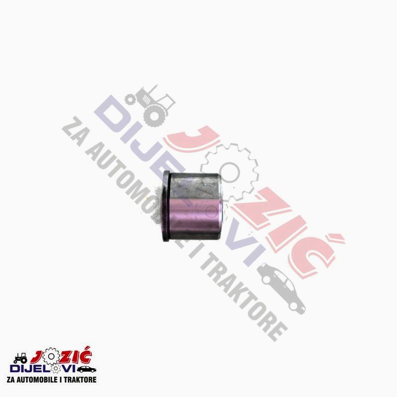 Daisy on the Ohoopee