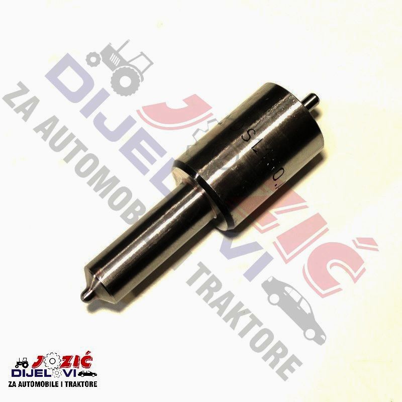 Daisy on the Ohoopee