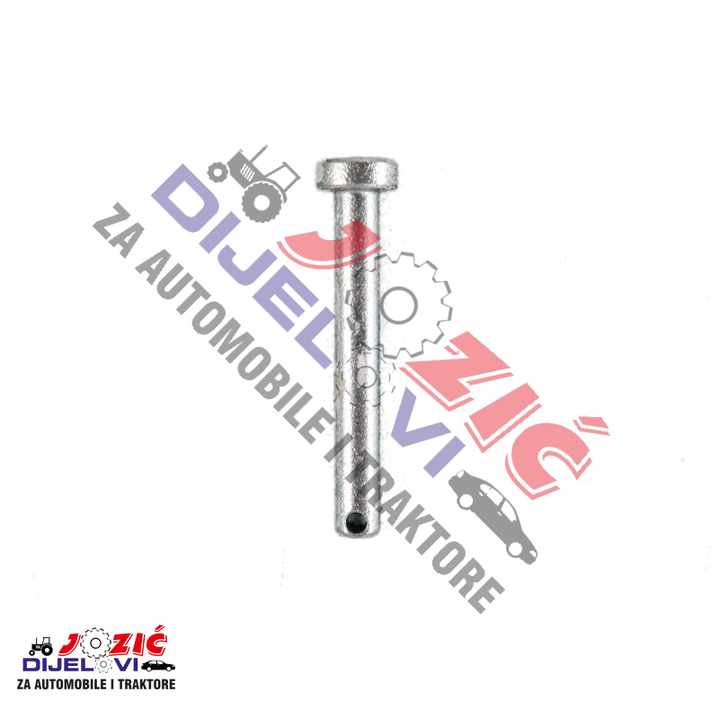 Daisy on the Ohoopee