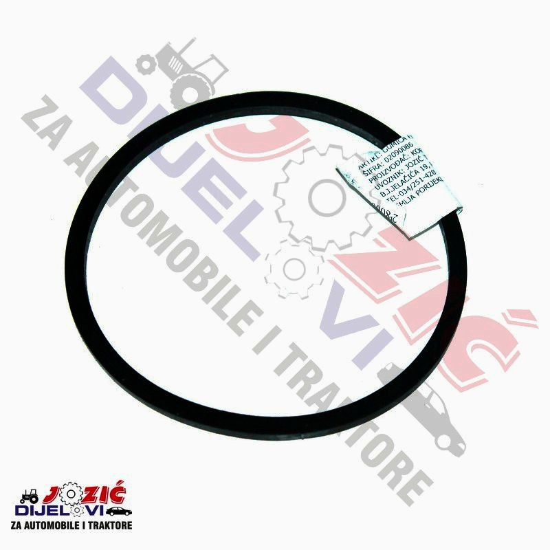 Daisy on the Ohoopee