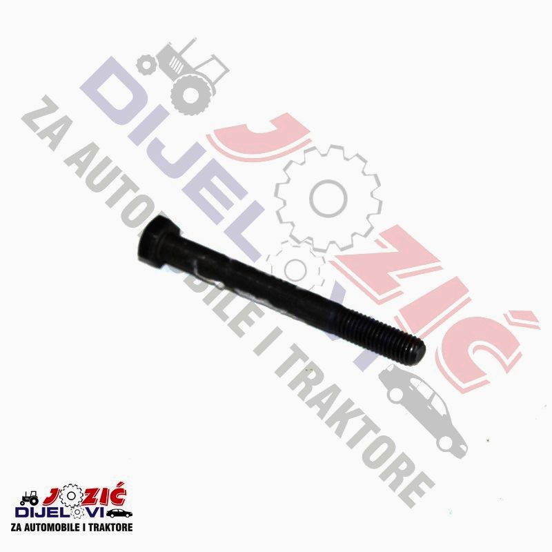 Daisy on the Ohoopee