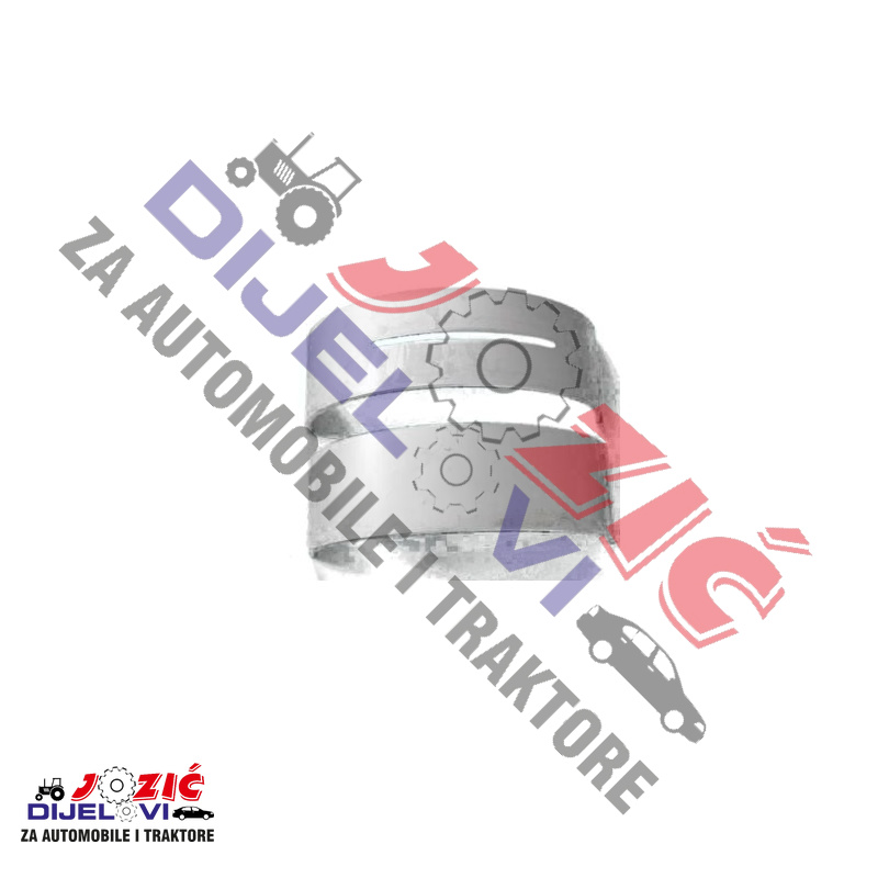 Daisy on the Ohoopee