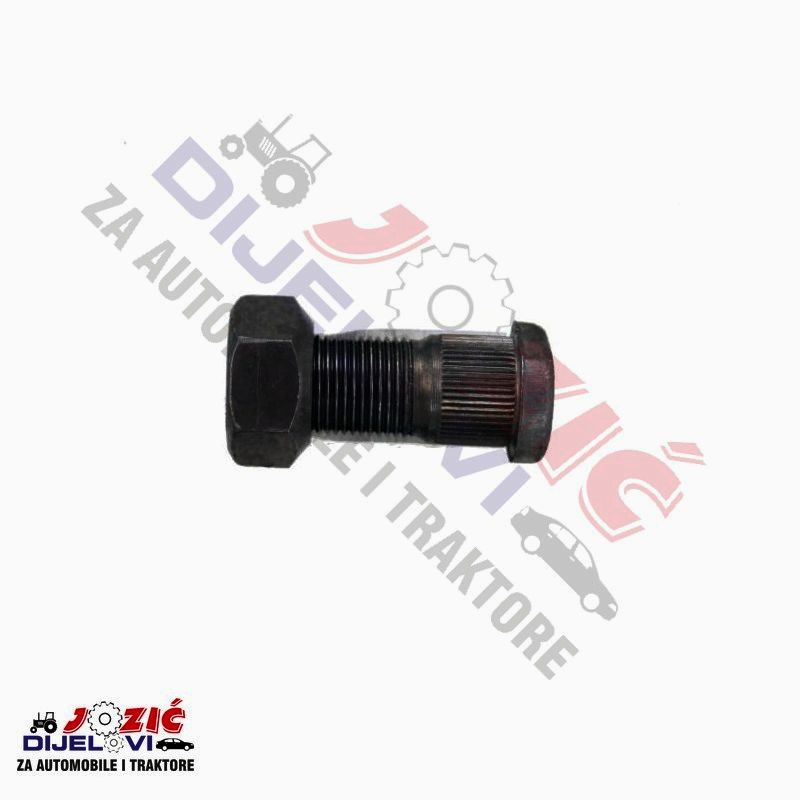 Daisy on the Ohoopee