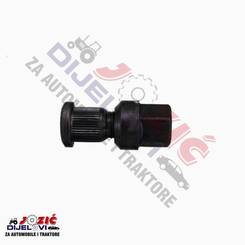 Daisy on the Ohoopee