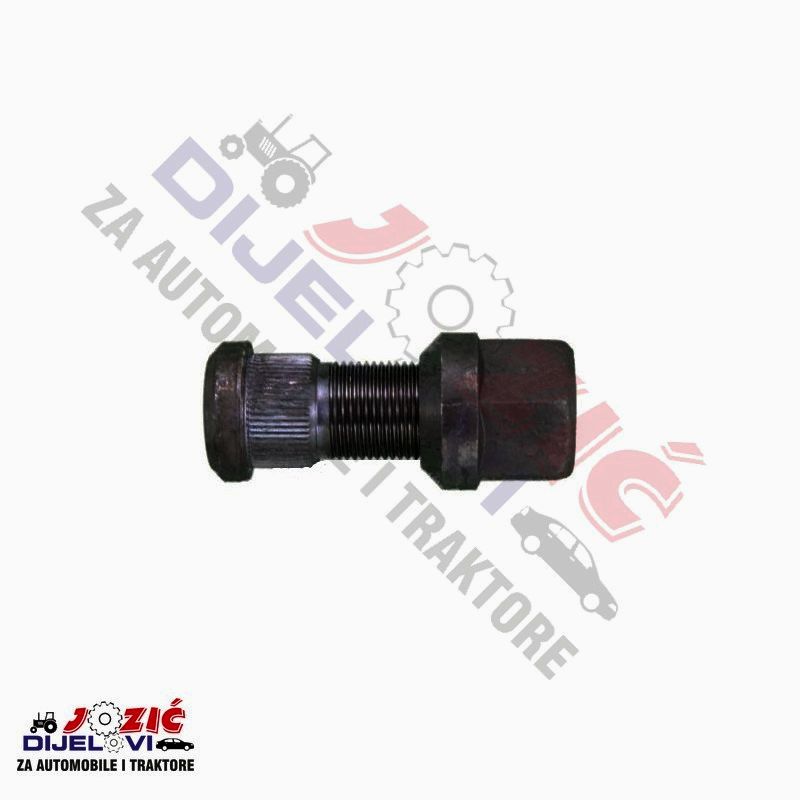 Daisy on the Ohoopee