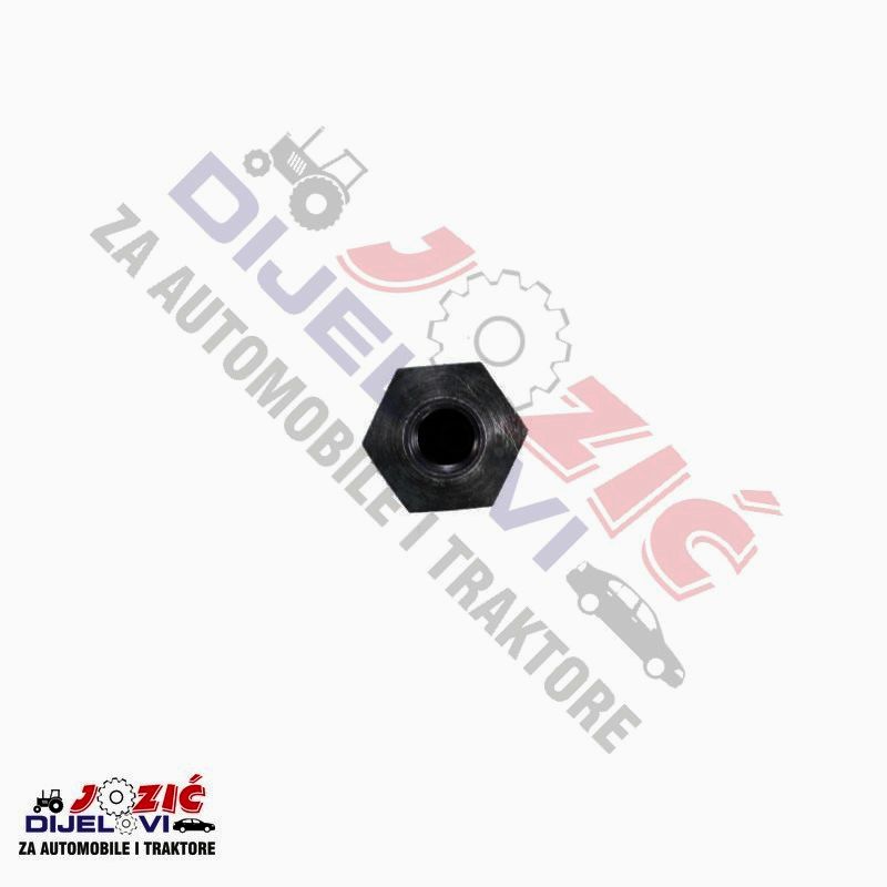 Daisy on the Ohoopee