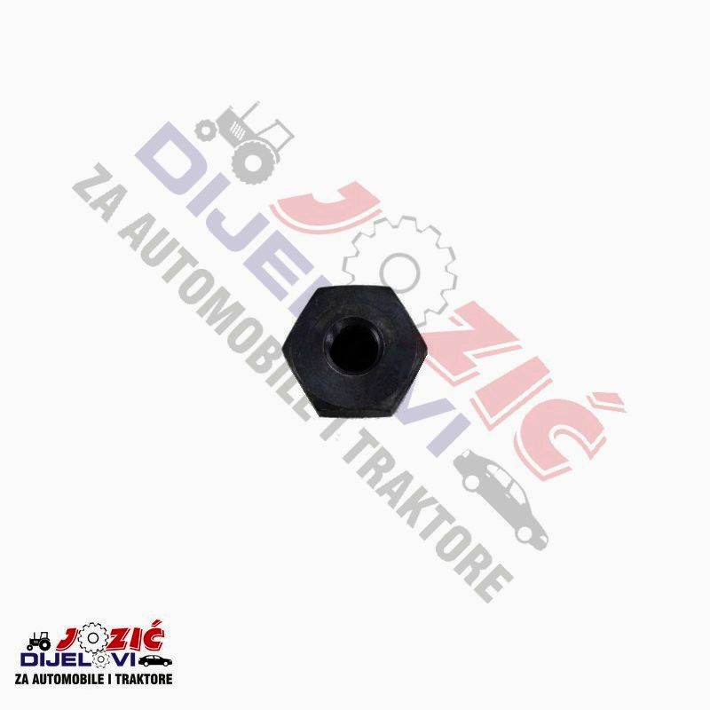 Daisy on the Ohoopee