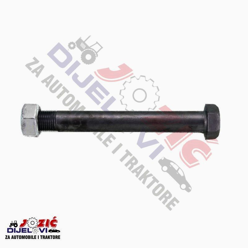 Daisy on the Ohoopee