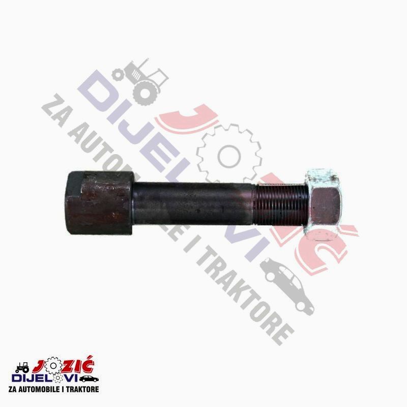 Daisy on the Ohoopee