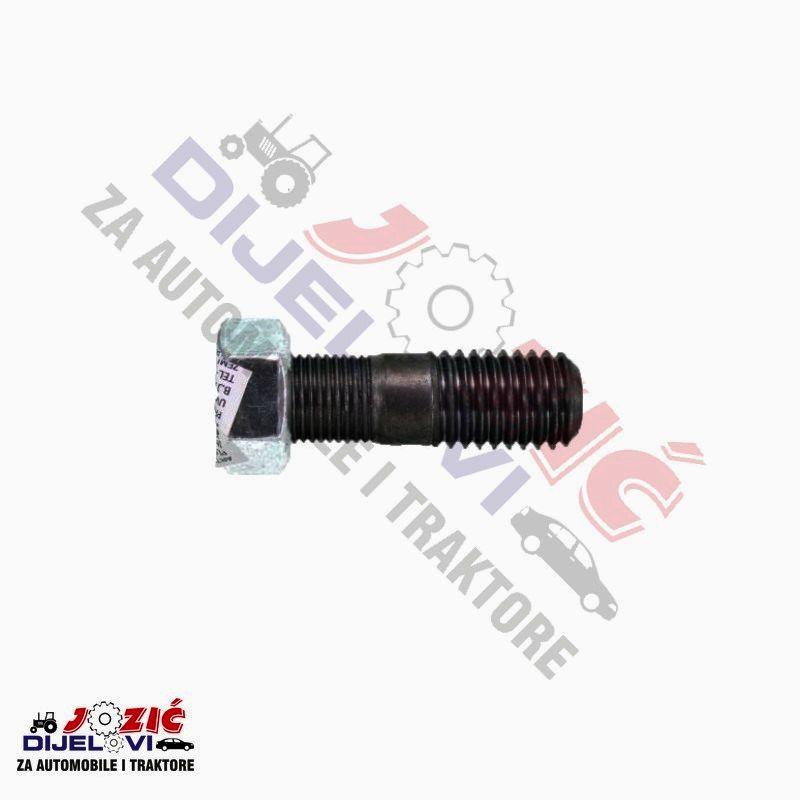 Daisy on the Ohoopee