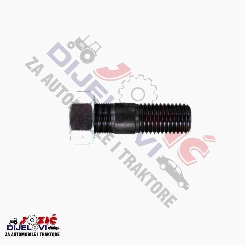 Daisy on the Ohoopee