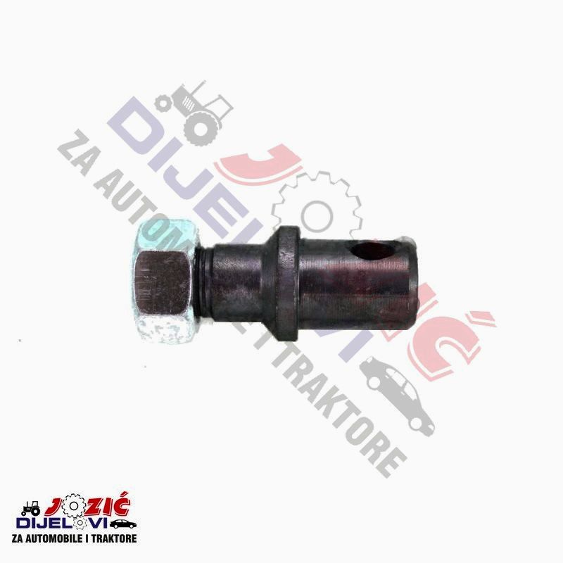 Daisy on the Ohoopee