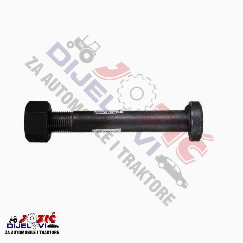 Daisy on the Ohoopee