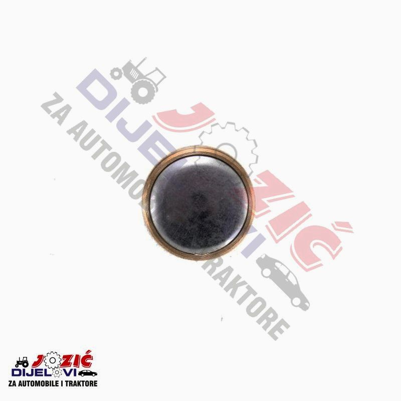 Daisy on the Ohoopee