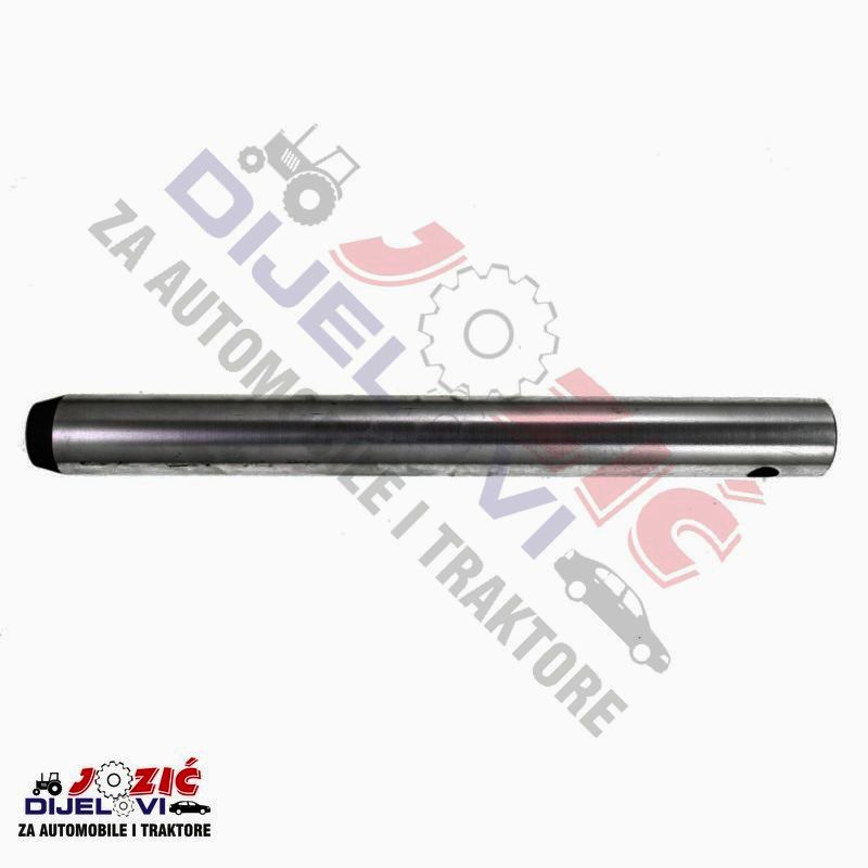 Daisy on the Ohoopee