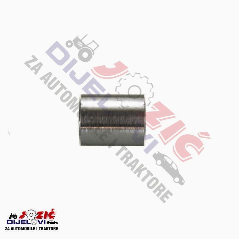 Daisy on the Ohoopee