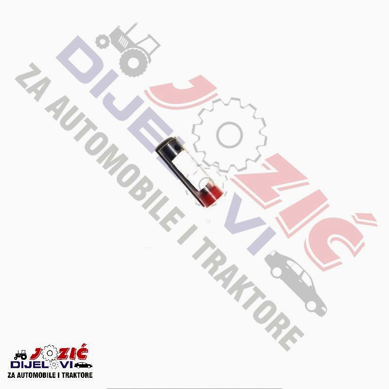 Daisy on the Ohoopee