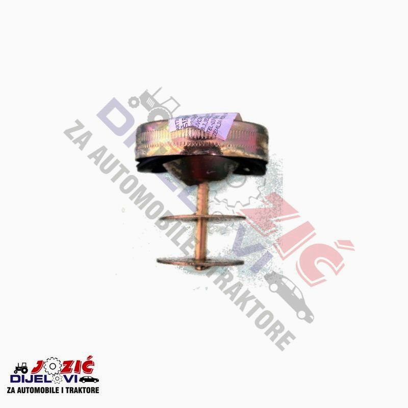 Daisy on the Ohoopee