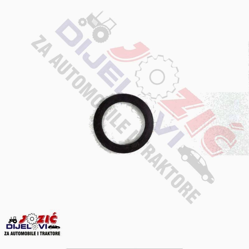 Daisy on the Ohoopee