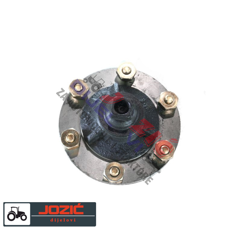 Daisy on the Ohoopee