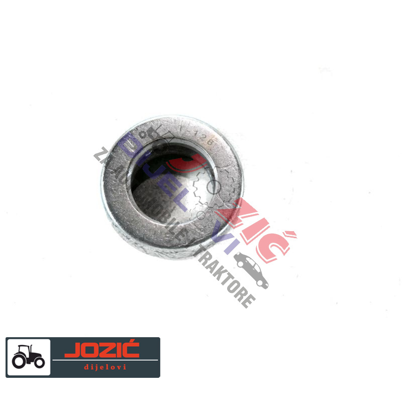 Daisy on the Ohoopee