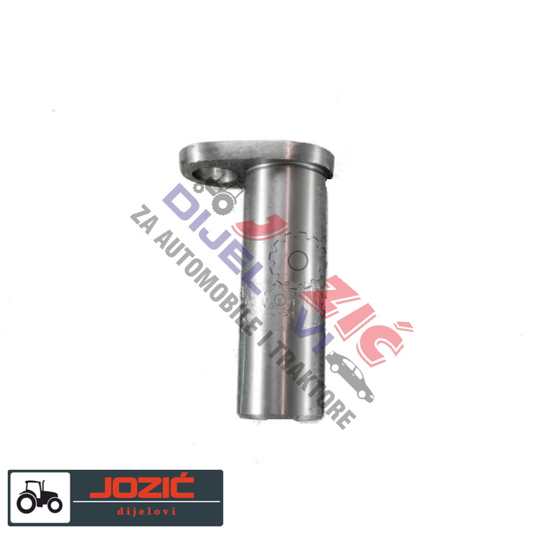 Daisy on the Ohoopee