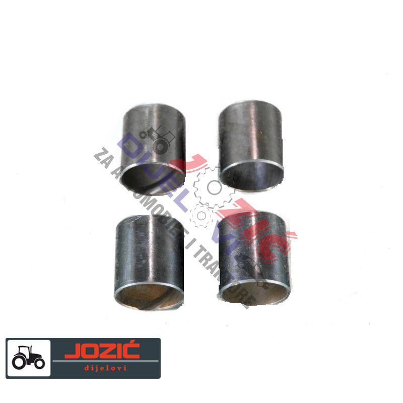 Daisy on the Ohoopee