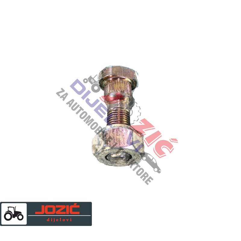 Daisy on the Ohoopee