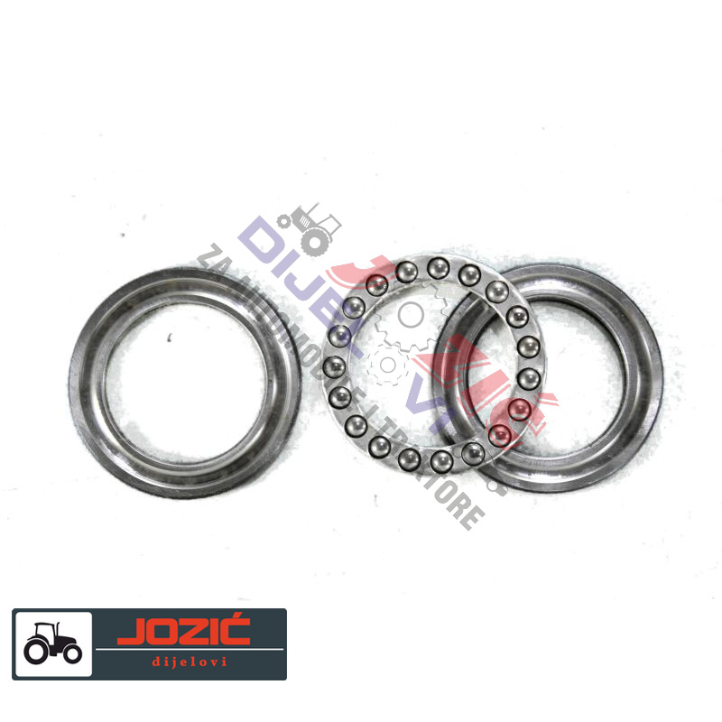 Daisy on the Ohoopee