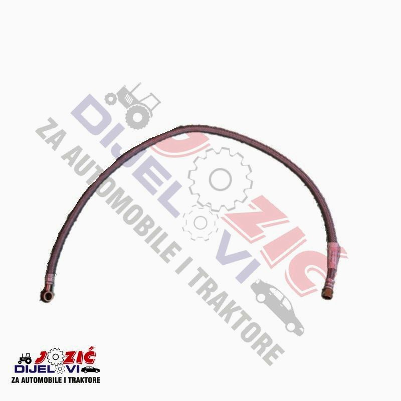 Daisy on the Ohoopee