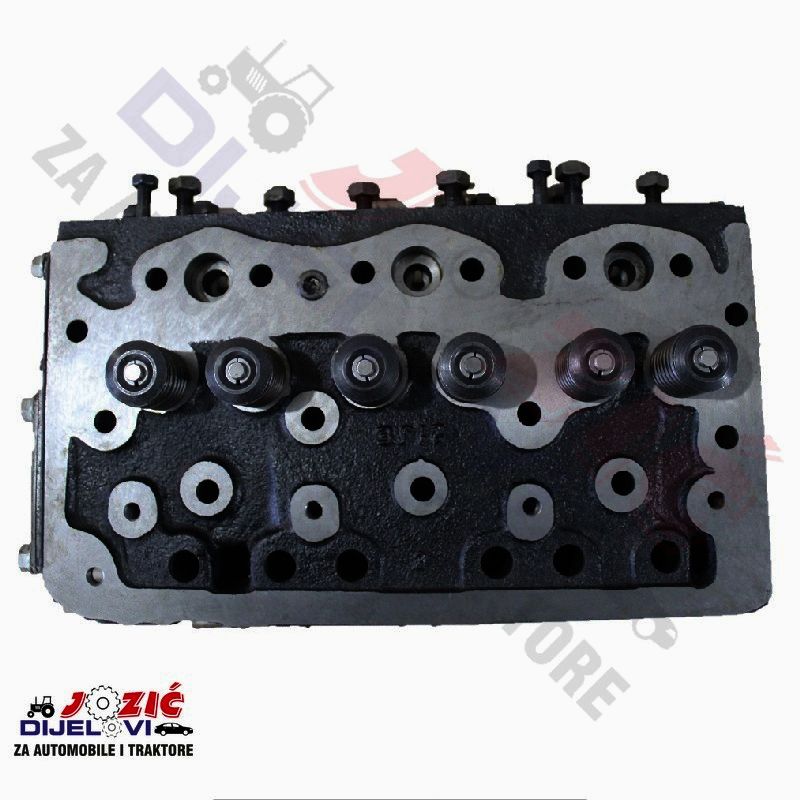 Daisy on the Ohoopee