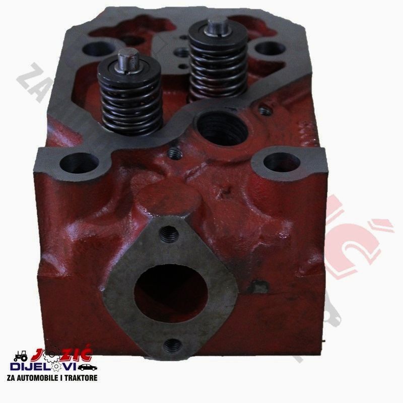 Daisy on the Ohoopee