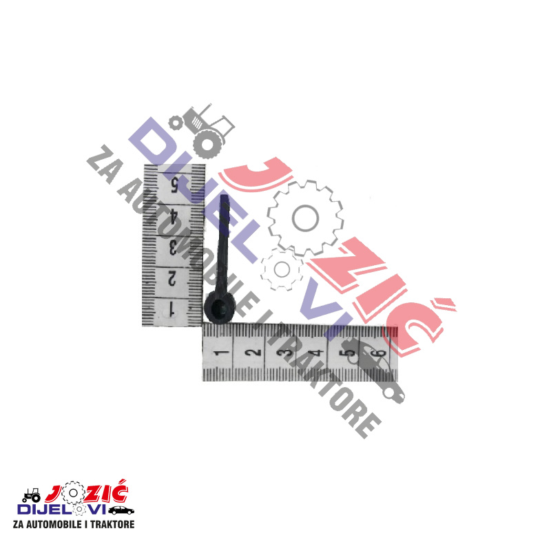 Daisy on the Ohoopee