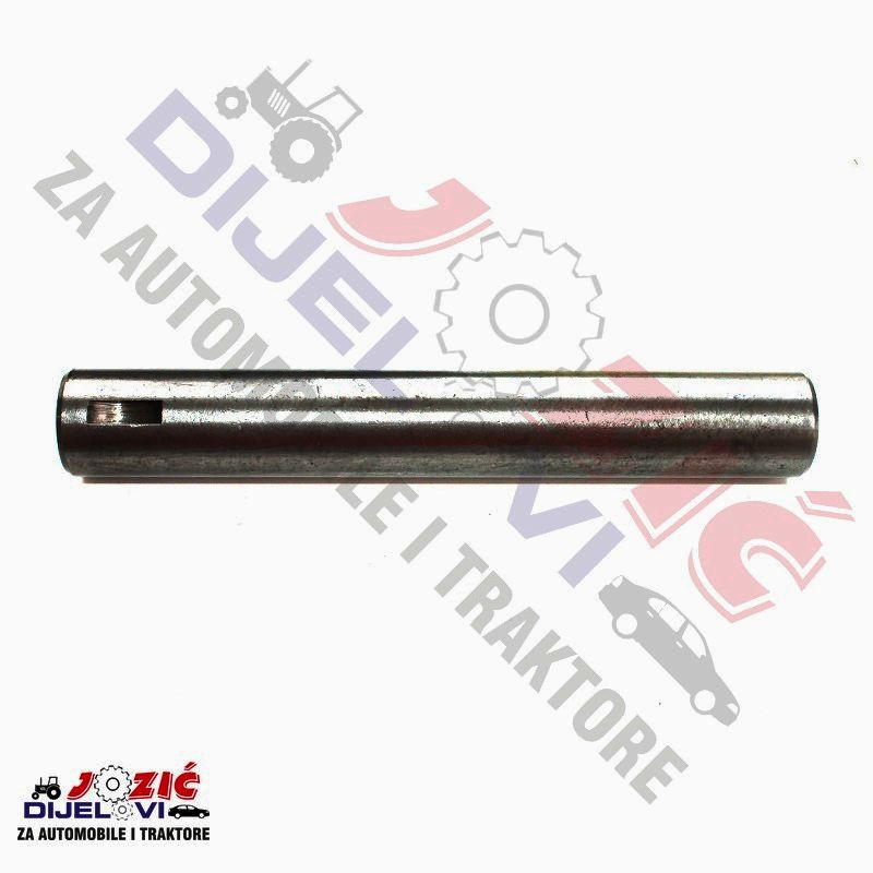 Daisy on the Ohoopee