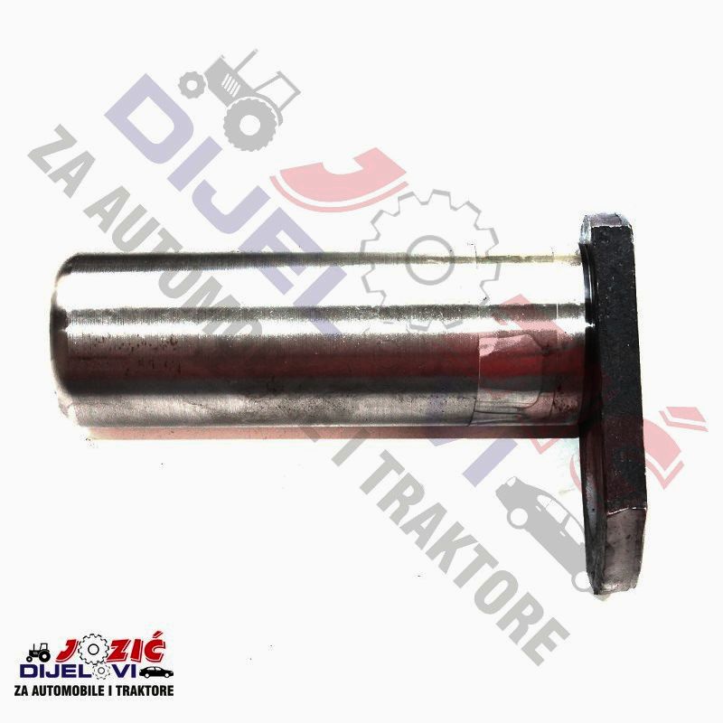 Daisy on the Ohoopee