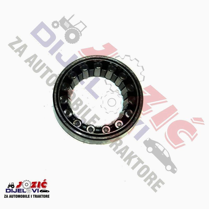 Daisy on the Ohoopee