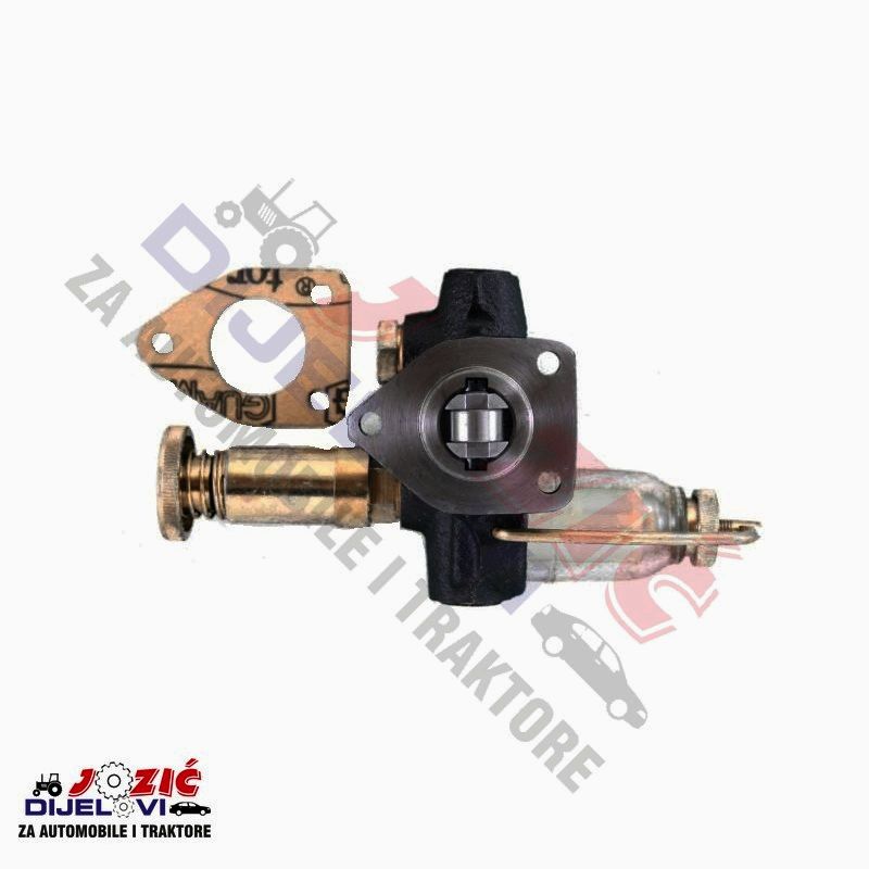 Daisy on the Ohoopee