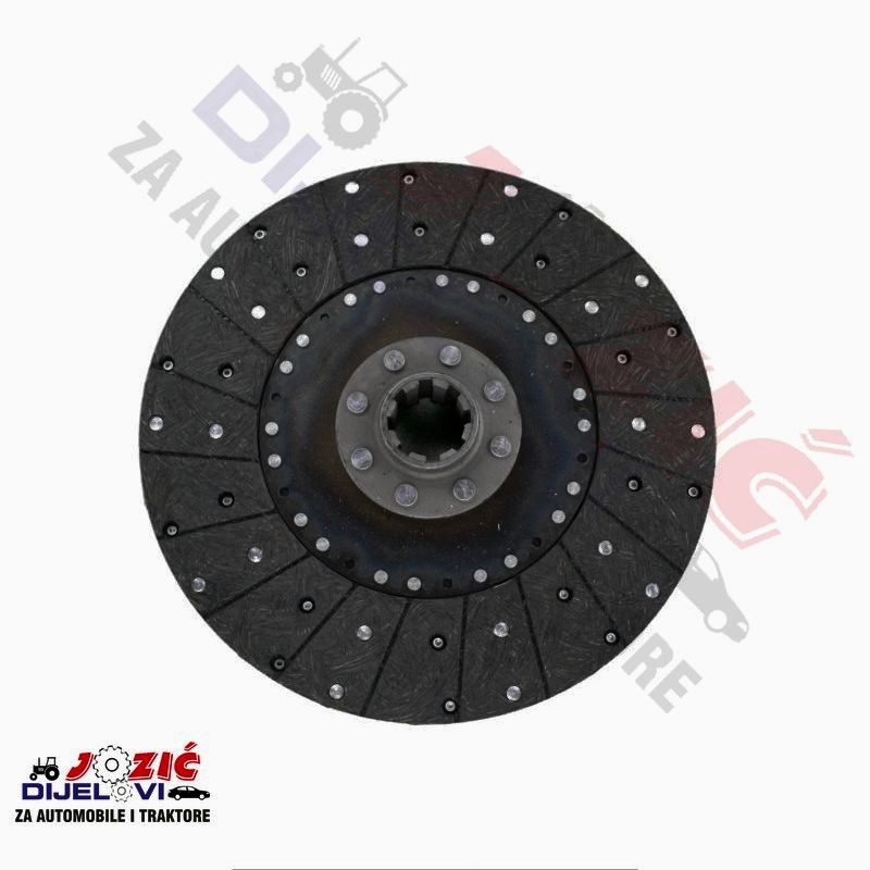 Daisy on the Ohoopee