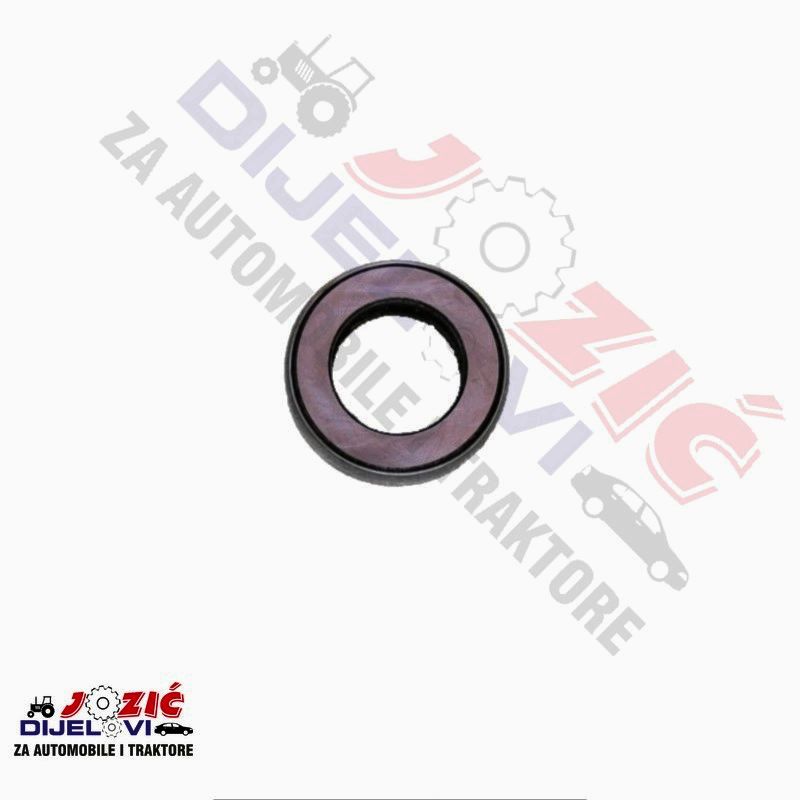 Daisy on the Ohoopee