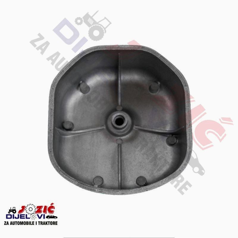 Daisy on the Ohoopee