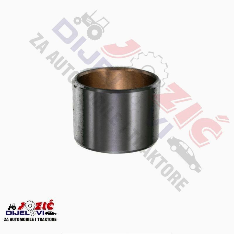 Daisy on the Ohoopee