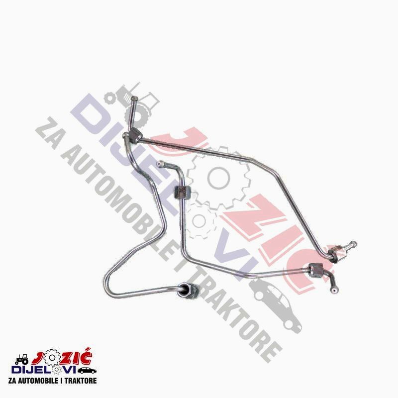 Daisy on the Ohoopee