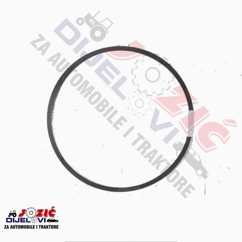 Daisy on the Ohoopee