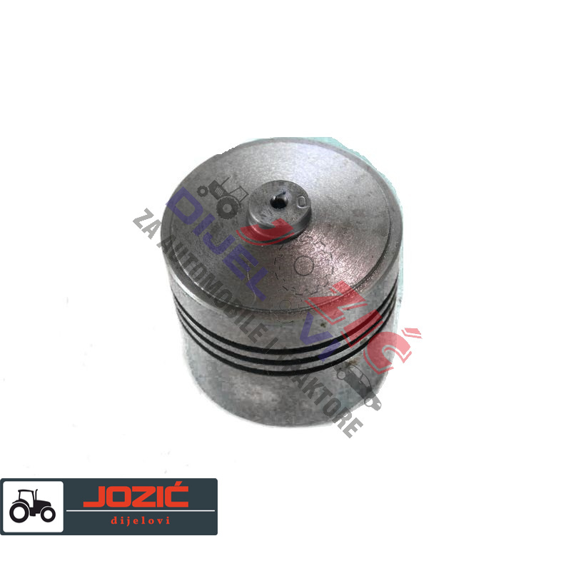 Daisy on the Ohoopee