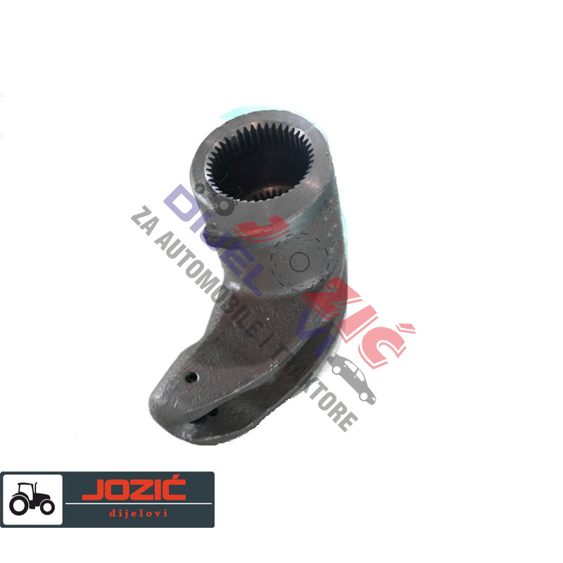 Daisy on the Ohoopee